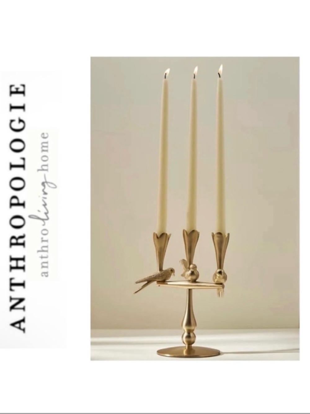 Anthropologie Marizia Sparrow 3 Taper Candelabra Brand New